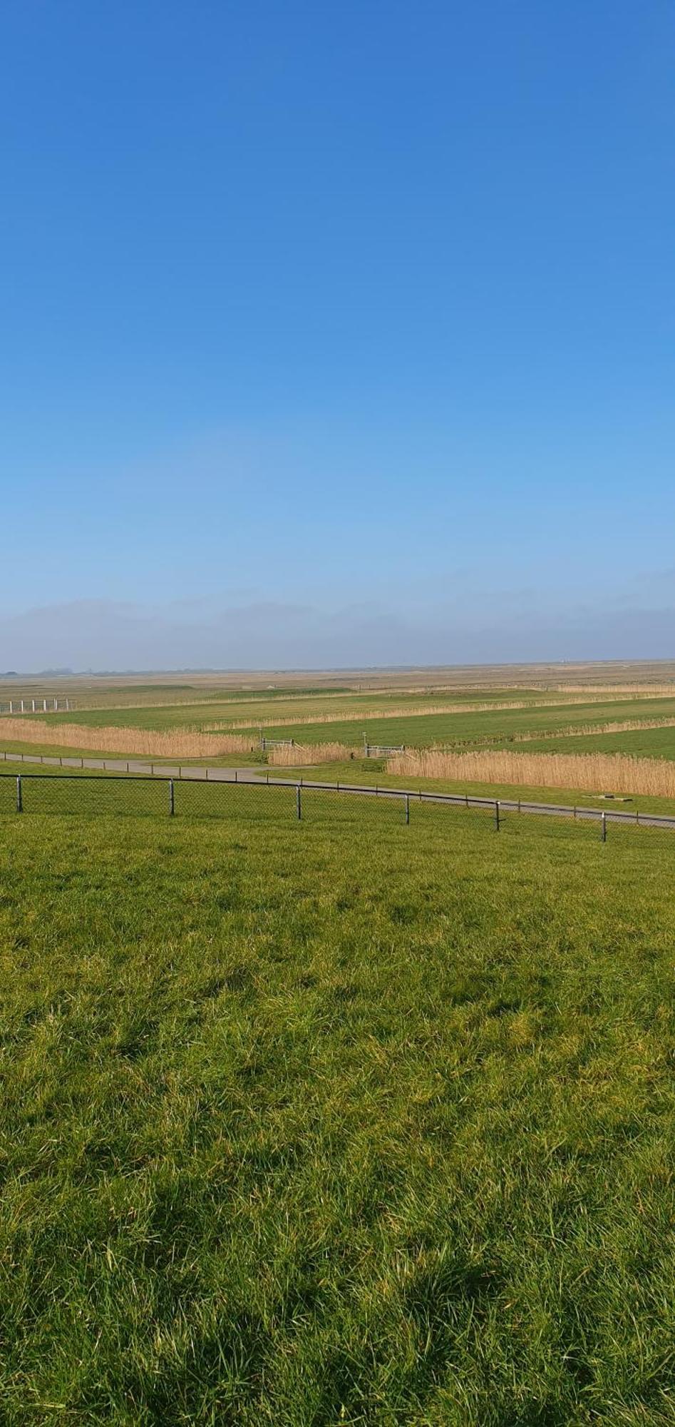 Ferienwohnung De Groote Medwert Holwerd Exterior foto