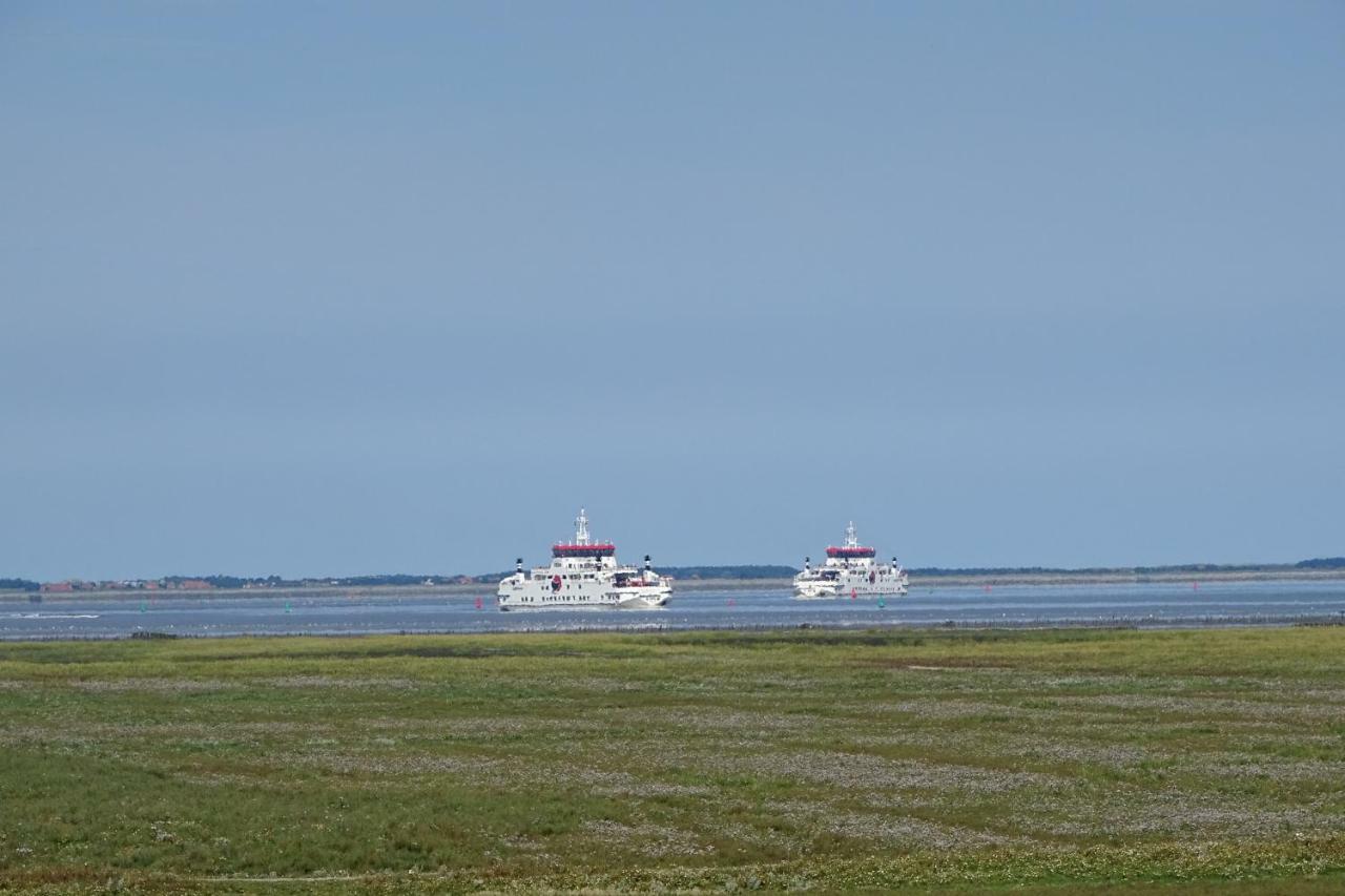 Ferienwohnung De Groote Medwert Holwerd Exterior foto